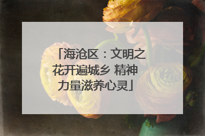 海沧区：文明之花开遍城乡 精神力量滋养心灵