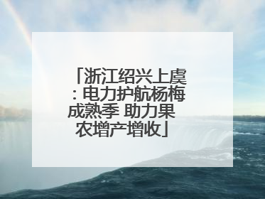 浙江绍兴上虞：电力护航杨梅成熟季 助力果农增产增收