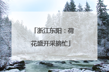 浙江东阳：荷花盛开采摘忙