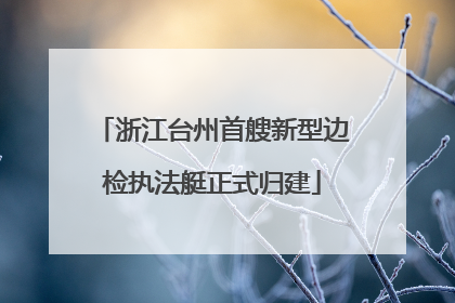 浙江台州首艘新型边检执法艇正式归建