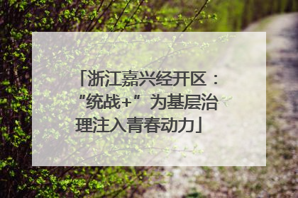 浙江嘉兴经开区：“统战+”为基层治理注入青春动力