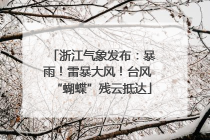 浙江气象发布：暴雨！雷暴大风！台风“蝴蝶”残云抵达