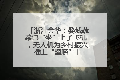 浙江金华：婺城蔬菜也“坐”上了飞机，无人机为乡村振兴插上“翅膀”