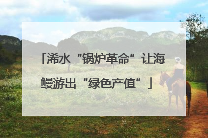 浠水“锅炉革命”让海鳗游出“绿色产值”