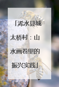 浠水县城太桥村：山水画卷里的振兴实践
