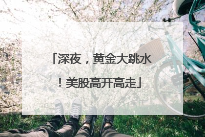 深夜，黄金大跳水！美股高开高走