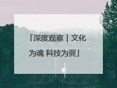 深度观察｜文化为魂 科技为翼