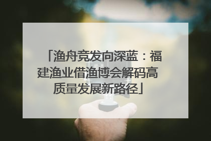 渔舟竞发向深蓝：福建渔业借渔博会解码高质量发展新路径