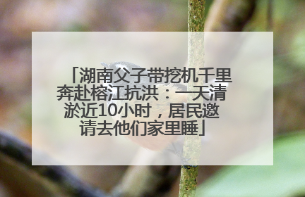 湖南父子带挖机千里奔赴榕江抗洪：一天清淤近10小时，居民邀请去他们家里睡