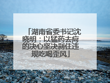 湖南省委书记沈晓明：以猛药去疴的决心坚决刹住违规吃喝歪风