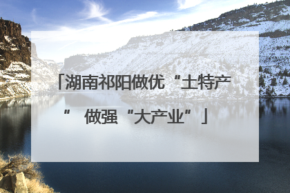湖南祁阳做优“土特产” 做强“大产业”