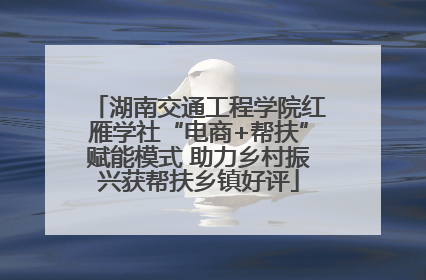 湖南交通工程学院红雁学社“电商+帮扶”赋能模式 助力乡村振兴获帮扶乡镇好评