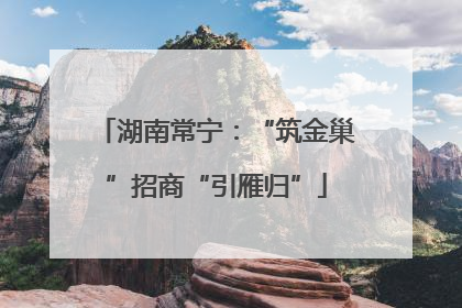 湖南常宁：“筑金巢”招商“引雁归”