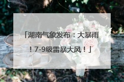 湖南气象发布：大暴雨！7-9级雷暴大风！