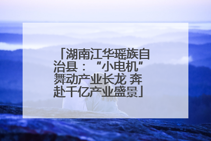 湖南江华瑶族自治县：“小电机”舞动产业长龙 奔赴千亿产业盛景