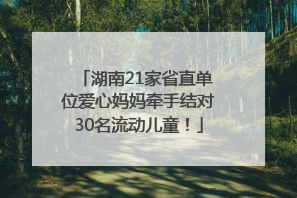 湖南21家省直单位爱心妈妈牵手结对30名流动儿童！
