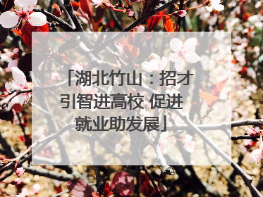 湖北竹山：招才引智进高校 促进就业助发展