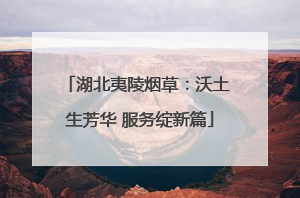 湖北夷陵烟草：沃土生芳华 服务绽新篇