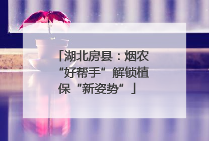 湖北房县：烟农“好帮手”解锁植保“新姿势”