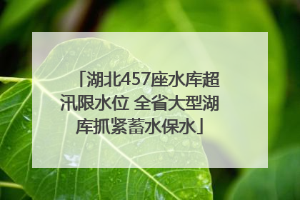 湖北457座水库超汛限水位 全省大型湖库抓紧蓄水保水