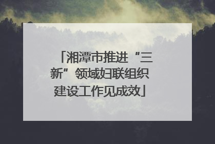 湘潭市推进“三新”领域妇联组织建设工作见成效
