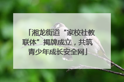 湘龙街道“家校社教联体”揭牌成立，共筑青少年成长安全网