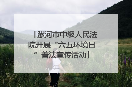 漯河市中级人民法院开展“六五环境日”普法宣传活动
