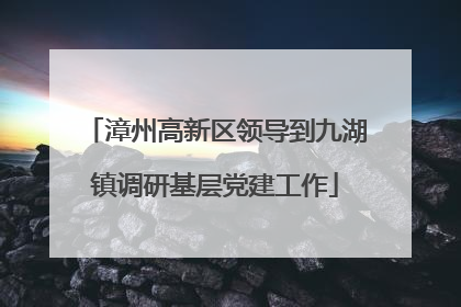 漳州高新区领导到九湖镇调研基层党建工作