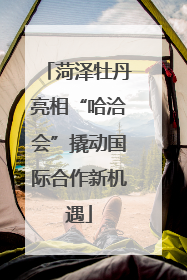 菏泽牡丹亮相“哈洽会”撬动国际合作新机遇