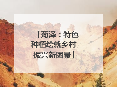 菏泽：特色种植绘就乡村振兴新图景