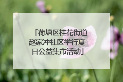 荷塘区桂花街道赵家冲社区举行夏日公益集市活动