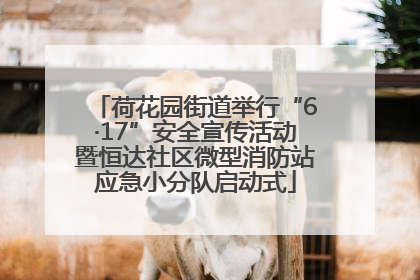 荷花园街道举行“6·17”安全宣传活动暨恒达社区微型消防站应急小分队启动式
