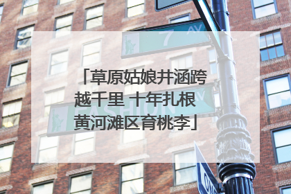 草原姑娘井涵跨越千里 十年扎根黄河滩区育桃李