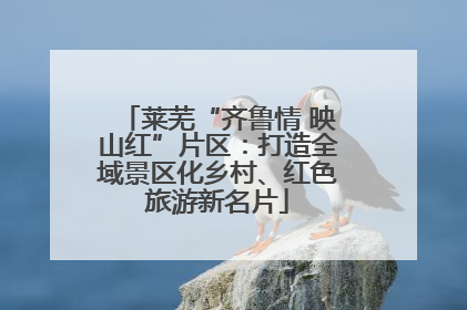 莱芜“齐鲁情 映山红”片区：打造全域景区化乡村、红色旅游新名片