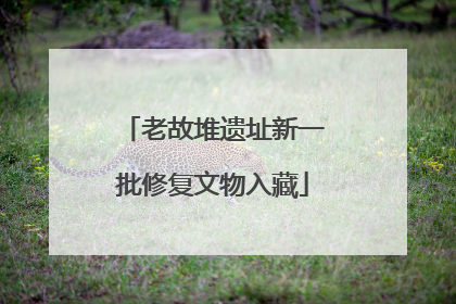 老故堆遗址新一批修复文物入藏