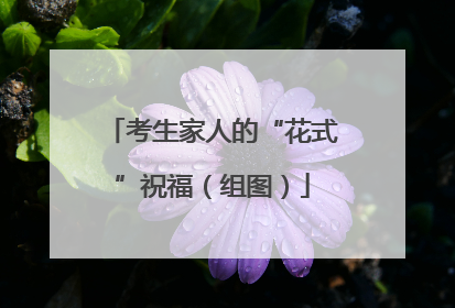 考生家人的“花式”祝福（组图）