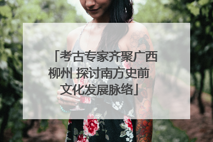 考古专家齐聚广西柳州 探讨南方史前文化发展脉络