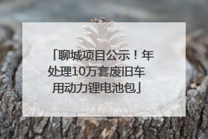 聊城项目公示！年处理10万套废旧车用动力锂电池包