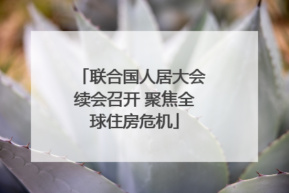 联合国人居大会续会召开 聚焦全球住房危机