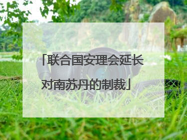 联合国安理会延长对南苏丹的制裁