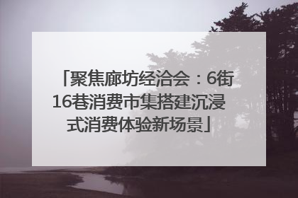 聚焦廊坊经洽会：6街16巷消费市集搭建沉浸式消费体验新场景