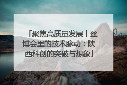 聚焦高质量发展丨丝博会里的技术脉动：陕西科创的突破与想象