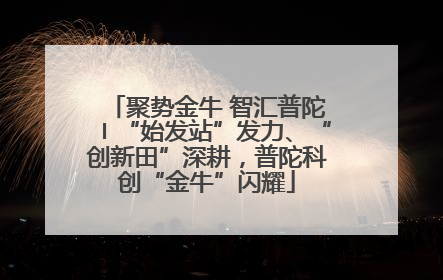 聚势金牛 智汇普陀〡“始发站”发力、“创新田”深耕，普陀科创“金牛”闪耀