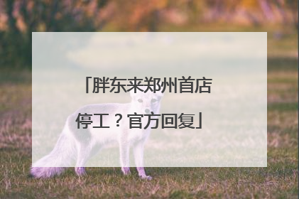 胖东来郑州首店停工？官方回复