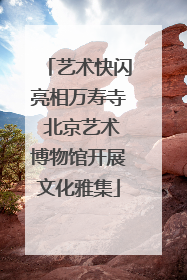 艺术快闪亮相万寿寺 北京艺术博物馆开展文化雅集
