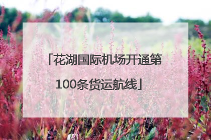 花湖国际机场开通第100条货运航线