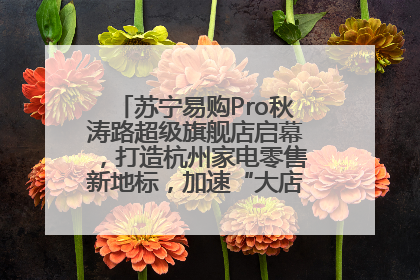 苏宁易购Pro秋涛路超级旗舰店启幕，打造杭州家电零售新地标，加速“大店攻略”全省布局