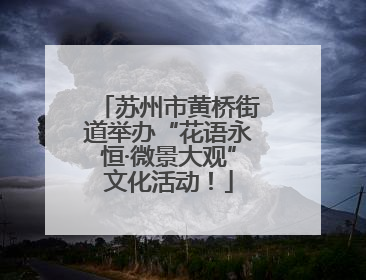苏州市黄桥街道举办“花语永恒·微景大观”文化活动！