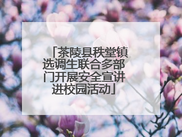 茶陵县秩堂镇选调生联合多部门开展安全宣讲进校园活动