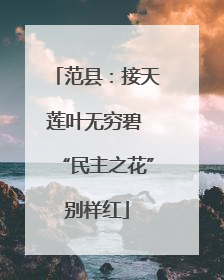 范县：接天莲叶无穷碧 “民主之花”别样红
